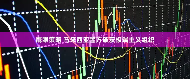 鹰眼策略 马来西亚警方破获极端主义组织
