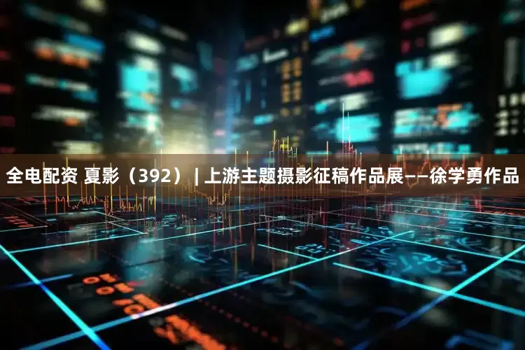 全电配资 夏影（392） | 上游主题摄影征稿作品展——徐学勇作品