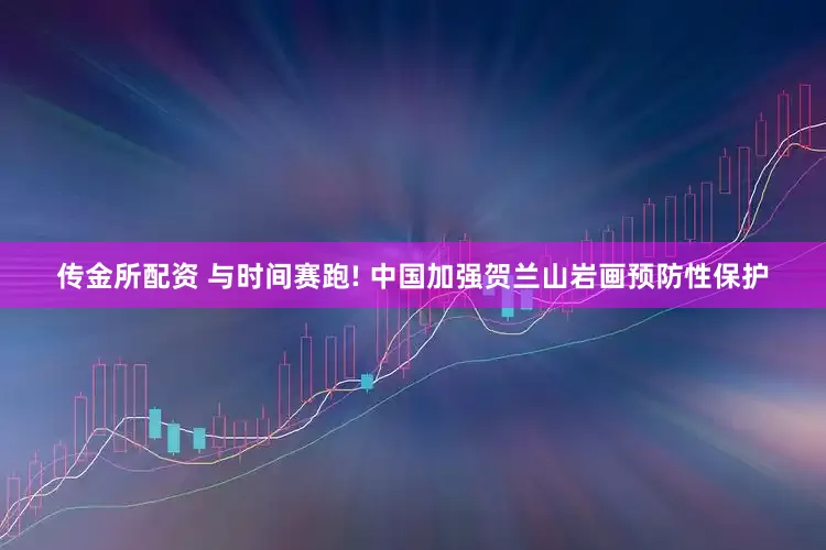 传金所配资 与时间赛跑! 中国加强贺兰山岩画预防性保护