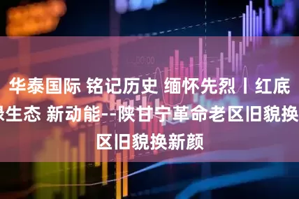 华泰国际 铭记历史 缅怀先烈丨红底色 绿生态 新动能--陕甘宁革命老区旧貌换新颜