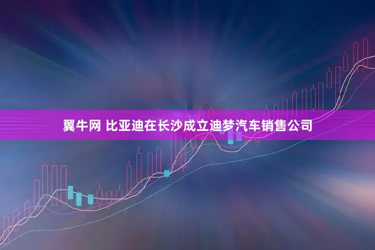 翼牛网 比亚迪在长沙成立迪梦汽车销售公司