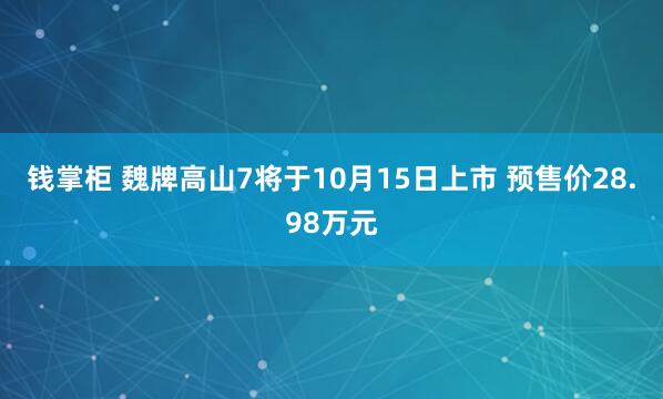 钱掌柜 魏牌高山7将于10月15日上市 预售价28.98万元