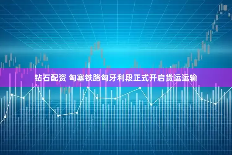 钻石配资 匈塞铁路匈牙利段正式开启货运运输